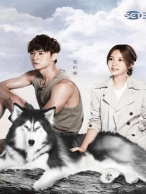 movie-card