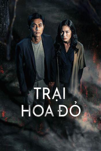 Watch Trại Hoa Đỏ - Scarlet Hill